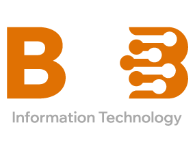 B2B Information Technology